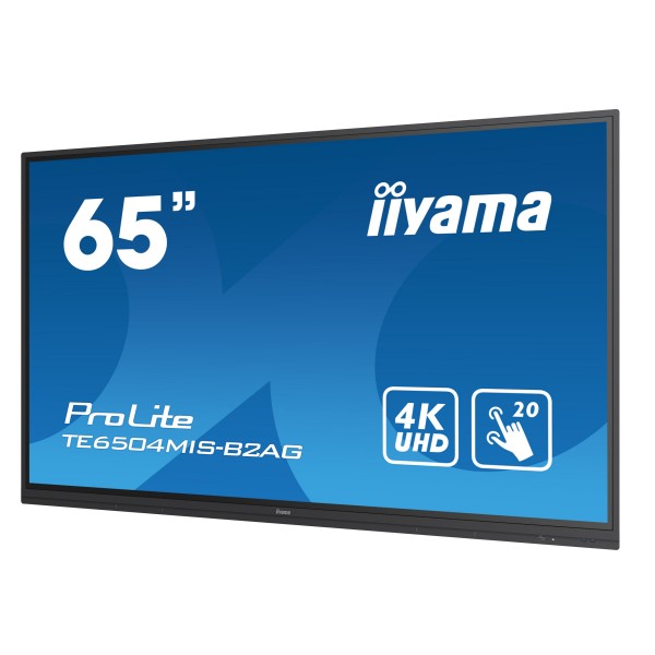 Iiyama ProLite TE6504MIS-B2AG 65